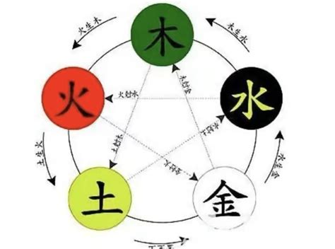 五行木代表|木的五行特性